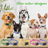 BiPawTi Green Dog Collar for St. Patrick's Day, Cute Flower Puppy Collar for Extra Small Dog, Floral Spring Dogs Collar for Small Dogs with Pretty...
