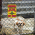 Funny No Trespassing Sign, Metal Warning Tin Signs, Door is Locked for your Protection, Yard Sign Garage Farm Garden Wall Decor Plaque Outdoor for...