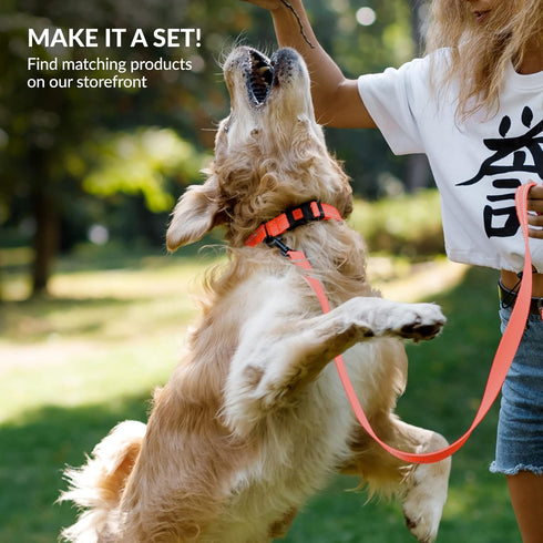 CollarDirect Reflective Dog Collar for a Small, Medium, Large Dog or Puppy with a Quick Release Buckle - Boy and Girl - Nylon Suitable for Swimmin...