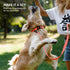 CollarDirect Reflective Dog Collar for a Small, Medium, Large Dog or Puppy with a Quick Release Buckle - Boy and Girl - Nylon Suitable for Swimmin...