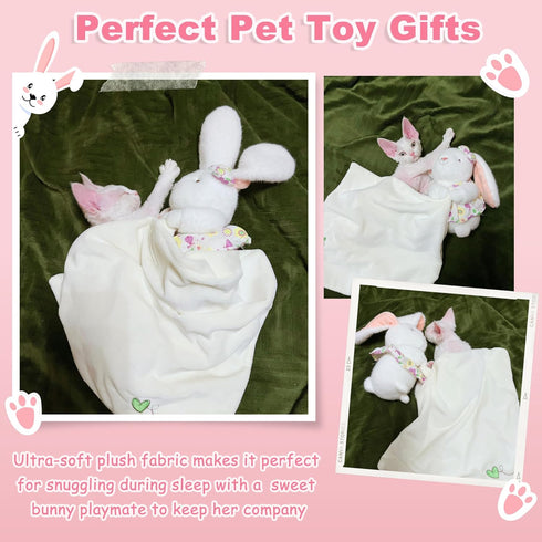 Bunny Lovies for Babies | Soft Security Blanket for Baby Girls - Cute Stuffed Pet Toys for Cats, Kitten, Puppy, Ideal Birthday Baby Girl Gifts, Cu...