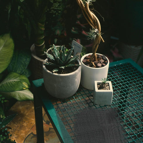 15 Pack Flower Pot Hole Mesh Pad, 11.8 * 7.8 Inch Bonsai Pot Mesh Plant Drainage Mesh Hole Screens Gasket Keep Soil from Flowing Away (Black)...