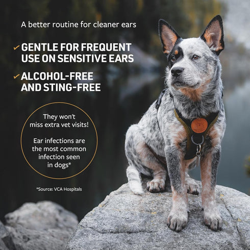 Veterinary Formula Clinical Care Ear Therapy Wipes, 100ct – Cat and Dog Ear Cleaner – Help Relieve Itchy Ears Quickly & Effectively Remove Dirt, D...