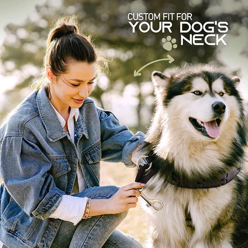 Ram-Pro Dog Training Collar Small Pinch Collar for Dogs Triple Crown Pro Training Collar Large Gentle Effective Control in a No Barking Control Do...