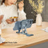 Phone Stand for Desk, Adjustable Cell Phone Stands, Foldable Metal Phone Stands for All Smartphone......
