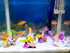 Fish Tank Conch Decorations, Aquarium Plants Decoration Seashell Coral Ornaments...