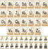 46 Pcs Boho Bulletin Board Decorations Letters Alphabet Boho Wood Grain Rainbow ABC Number 1-20 Cards Alphabet Line Cutouts Poster Classroom Wall ...