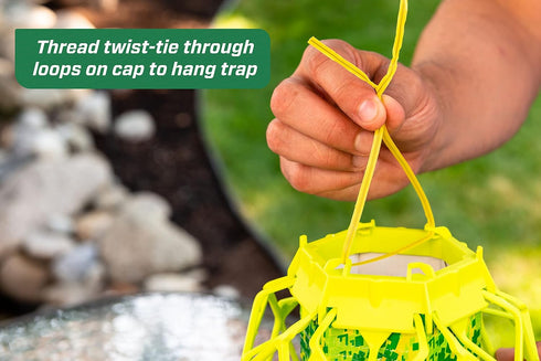 RESCUE! VisiLure® TrapStik for Wasps, Mud Daubers, Carpenter Bees – 2 Pack...