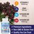 8 in 1 Immune Support Booster Supplement with Echinacea, Vitamin C and Zinc 50mg, Vitamin D 5000 IU, Turmeric Curcumin & Ginger, B6, Elderberry 60...