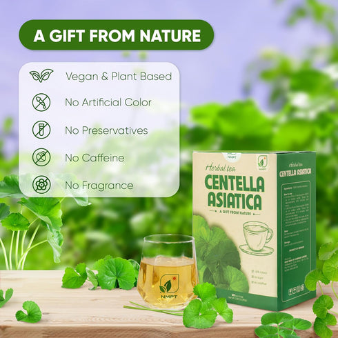 NMPT Centella Asiatica Leaf Tea, 100% Hand Pick, Organic Herbal Tea, 40 Count, Freeze Drying, Gluten Free, Dairy Free, No Sugar Added, Energy Boos...