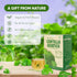 NMPT Centella Asiatica Leaf Tea, 100% Hand Pick, Organic Herbal Tea, 40 Count, Freeze Drying, Gluten Free, Dairy Free, No Sugar Added, Energy Boos...