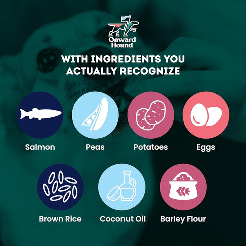 Training Treats for Dogs -Soft Salmon - Low Calorie Dog Training Treats for Sensitive Stomachs with Single Source Premium Protein, Corn Free, & So...