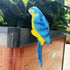 Realistic Parrot Sculpture Resin Hanging Parrots Garden Statues Lifelike Bird Figurines Landscape Ornament Patio Yard Lawn Figurine Tree Decor(Blu...