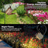 Solar Watering Can Lights, LED Solar Lantern String Light Outdoor Garden Waterproof Hollowed-Out Retro Metal Water Can Lights, for Garden Patio Ya...