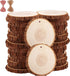 Natural Wood Slices TICIOSH Craft Unfinished Wood kit Predrilled with Hole Wooden Circles for DIY Crafts Wedding Decorations Christmas Ornaments A...