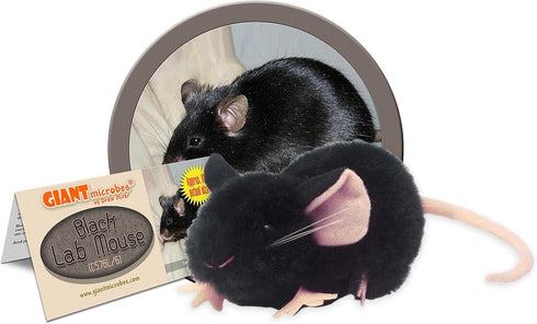 GIANTmicrobes Black Lab Mouse – Learn about Nature and Science with this Lab Research Animal, Memorable Gift for Lab Workers, Scientists, Students...