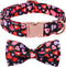 Lionet Paws Valentines Day Dog Collar Bowtie, Dog Bowtie Collar with Metal Buckle for Dogs, Adjustable Fabric Black Dog Collar Girl Boy Gift, XL, ...