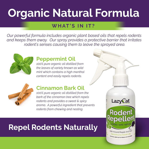Peppermint Oil Spray for Rodents Plus Cinnamon Oil - MAX Power Mouse Repellent for Home RV Campers Boats Car Engines – Repel Mice and Rats from Ho...