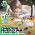 Life Cycle Kit Toy Montessori - Realistic Figurine Toys, Kids Animal Match Set with Frog, Ladybug & Butterfly - Includes 12-Piece, Stocking Stuffe...