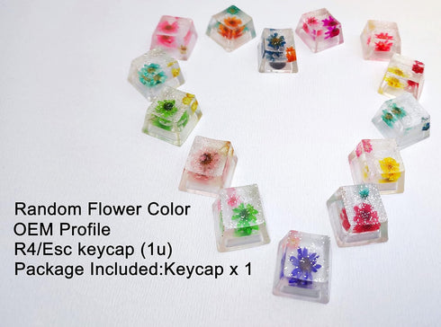 Custom Resin Artisan Escape Keycaps (OEM, R4) for Cherry MX Gaming Mechanical Keyboards, Transparent Flower Cool Esc Key Caps (Flower)...