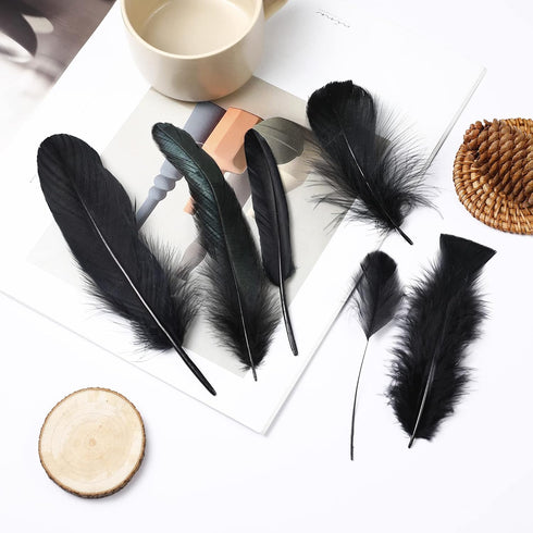 Larryhot Black Craft Feathers Bulk - 240pcs 6 Style Mixed Natural Feathers for Wedding Home Party, Dream Catcher Supplies and DIY Crafts (Black)...