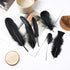 Larryhot Black Craft Feathers Bulk - 240pcs 6 Style Mixed Natural Feathers for Wedding Home Party, Dream Catcher Supplies and DIY Crafts (Black)...