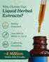 Herb Pharm Kava Root Liquid Extract to Reduce Stress and Promote Relaxation - 2 Ounce...