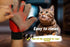 Grooming Gloves for Dogs and Cats - 259 Soft Silicone Tips - Five finger design Massage Mitt - Skin-Friendly and Gentle Massage - Perfect for Shed...