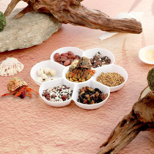 2 Pcs Hermit Crab Ceramic Food Dish, Small Hermit Crab Water Dish Hermit Crab Kit Mini Food Dish Kit for Hermit Crab Tarantula and Snail (White)...