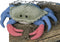 Douglas Buster Blue Crab Plush Stuffed Animal...