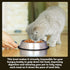 Iconic Pet Set of 2 Stainless Steel Anti-Skid Slow Feed Bowls for Small Dogs (12 oz) - Ideal for Food and Water, Durable Design with Raised Center...