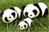 Lazada Stuffed Animal Panda Bear Baby Girl Gifts Panda Toys 6.5"...