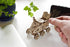 UGEARS Science STEM Mars Rover, DIY Engineering Activity, STEAM School Project, Mechanical Wooden Puzzle, Eco Building 3D Toy, Educational Gift fo...