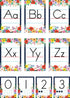 Teacher Created Resources Wildflowers Alphabet Bulletin Board (TCR6818)...