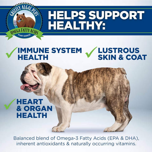 Grizzly Algal Plus Omega Fatty Acids Supplement for Dogs & Cats, 8 Fl Oz - Vegan, Plant-Sourced & Made in USA Algal Oil Omega 3-6-9, Healthy Skin ...