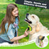 3PCS Dog Brush I Dog Brush for Shedding I Deshedding Dog Brush I Dog Bath Brush I Slicker Brush For Dogs I Dog Comb I Premium Pet Supplies (Green ...
