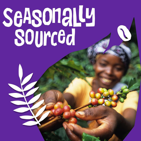 Ethical Bean Fairtrade Organic Coffee, Lush Medium Dark Roast, Ground Coffee Beans- 100% Arabica Coffee (8 oz Bag), 0.5 Pound (Pack of 1)...