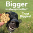 Fruitables Biggies Dog Biscuits – Crunchy Dog Biscuits Made with Pumpkin – Healthy Dog Treats Packed with Real Fruit Flavor – Free of Wheat, Corn ...