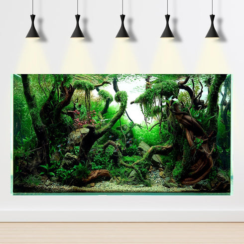 Aquascaped Freshwater Aquarium Background with Neon Fish Live Plants,Frodo Stones and Redmoor Roots Terrarium Background Jungle Style Aquascape Aq...
