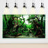 Aquascaped Freshwater Aquarium Background with Neon Fish Live Plants,Frodo Stones and Redmoor Roots Terrarium Background Jungle Style Aquascape Aq...