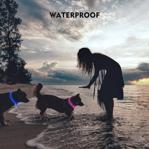 LED Dog Collar, Rechargeable Light Up Dog Collars,IP67 Waterproof Dog Lights for Night Walking?Adjustable, Reusable Safety Necklace for Small Medi...