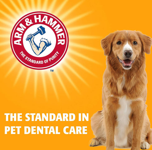Arm & Hammer for Pets Dental Mints for Dogs, Fresh Breath | Get Fresh Doggie Breath Without Brushing, Way to Fresher Dog Breath | Chicken Flavor, ...