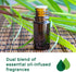 Glade Aromatherapy Diffuser & Essential Oil, Air Freshener for Home, Find Clarity Scent with Notes of Bergamot & Lemongrass, 0.56 Fl Oz...