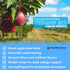 FWS Liquid B12 - Sublingual B12 Drops - Methylcobalamin - Boosts Energy Production - Organic, Non-GMO, Vegan - Adjustable Dosing - Highly Absorbab...