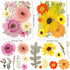 116PCS Large Dried Pressed Butterfly Sticker Flower for Resin, Big Real Nature Pressing Floral Leaves for DIY Craft, Mold, Jewelry Making, Candle ...