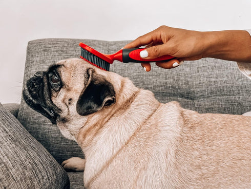Tuff Pupper Round Bristle Soft Brush for Dogs and Cats | Gentle Grooming for Short or Long Hair | Soft Pin Tool for Sensitive Skin | Detangle & Re...