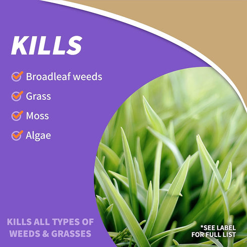 Bonide Captain Jack's Deadweed Brew, 32 oz Ready-to-Use Spray, Controls All Types of Weeds and Grasses, For Organic Gardening...