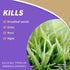 Bonide Captain Jack's Deadweed Brew, 32 oz Ready-to-Use Spray, Controls All Types of Weeds and Grasses, For Organic Gardening...