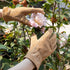 HANDLANDY Genuine Kids Leather Work Gloves for ages 3-11, Children Gardening Gloves for Boys, Girls (Medium (for age5-7), Khaki)...