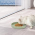 Cat Bowls Silicone Dog Bowls, Non Slip Dog Food Bowls Cat Feeding Bowls, Drinking Bowl Pet Bowl for Dry Food and Wet Food, 10 OZ/330ML Water or Fo...